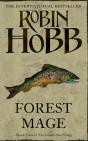 Forest Mage - Preview