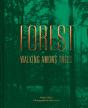 Forest - Preview