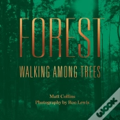 Capa do artigo Forest