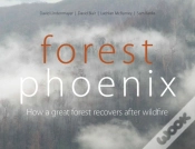 Capa do artigo Forest Phoenix