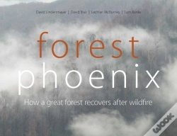 Capa do artigo Forest Phoenix
