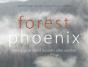 Forest Phoenix - Preview