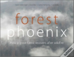Capa do artigo Forest Phoenix