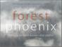 Forest Phoenix - Preview