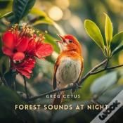 Capa do artigo Forest Sounds At Night