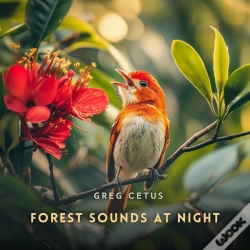 Capa do artigo Forest Sounds At Night