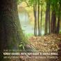 Forest Sounds With Soft Rains & Gentle Winds (Without Music) For Deep Sleep, Meditation, Relaxation - Preview