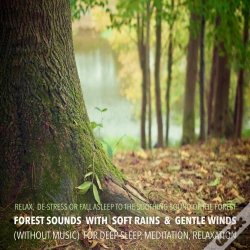 Capa do artigo Forest Sounds With Soft Rains & Gentle Winds (Without Music) For Deep Sleep, Meditation, Relaxation