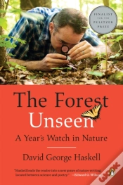 Capa do artigo Forest Unseen