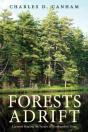 Forests Adrift - Preview