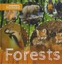 Forests - Preview