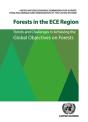 Forests In The Ece Region - Preview