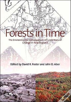 Capa do artigo Forests In Time