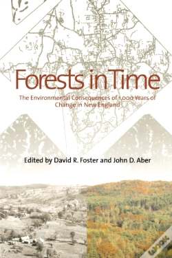 Capa do artigo Forests In Time