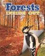 Forests - Preview