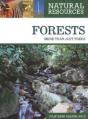 Forests - Preview