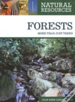 Capa do artigo Forests