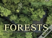 Capa do artigo Forests