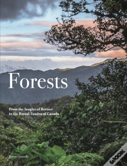 Capa do artigo Forests