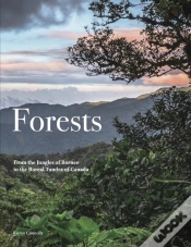 Capa do artigo Forests