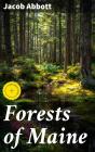 Forests Of Maine - Preview