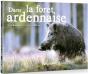 Foret Ardennaise (Dans La) - Preview