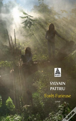 Capa do artigo Forêt-Furieuse