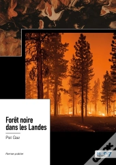Forêt Noire Dans Les Landes
