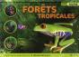 Forêt Tropicales - Preview