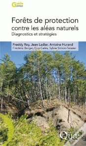 Capa do artigo Forêts De Protection Contre Les Aléas Naturels ; Diagnostics Et Stratégies