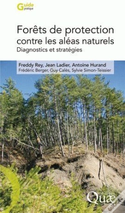 Capa do artigo Forêts De Protection Contre Les Aléas Naturels ; Diagnostics Et Stratégies