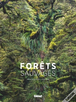Capa do artigo Forêts Sauvages