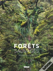 Capa do artigo Forêts Sauvages