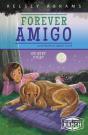 Forever Amigo - Preview