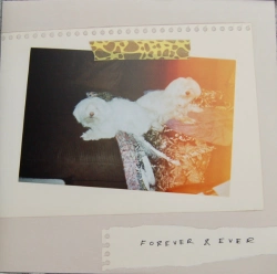 Capa do artigo Forever & Ever - Vinil