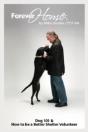 Forever Home...: Dog Training 101 & How To Be A Better Shelter Volunteer - Preview
