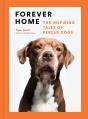 Forever Home - Preview