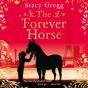 Forever Horse - Preview