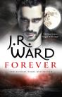Forever - Preview