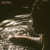 Capa do artigo Forever Means - Vinil