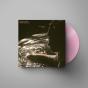 Forever Means - Vinil - Preview
