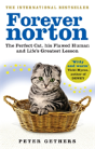 Forever Norton - Preview