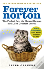 Capa do artigo Forever Norton
