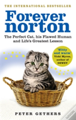 Capa do artigo Forever Norton