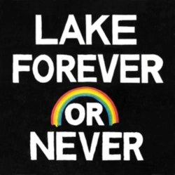 Capa do artigo Forever Or Never - CD
