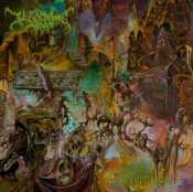 Capa do artigo Foreverglade - CD