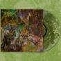 Foreverglade - Vinil - Preview
