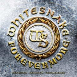 Capa do artigo Forevermore - Vinil