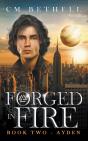 Forged In Fire   Book Two - Ayden - Preview