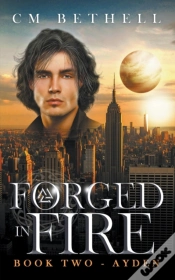 Capa do artigo Forged In Fire   Book Two - Ayden
